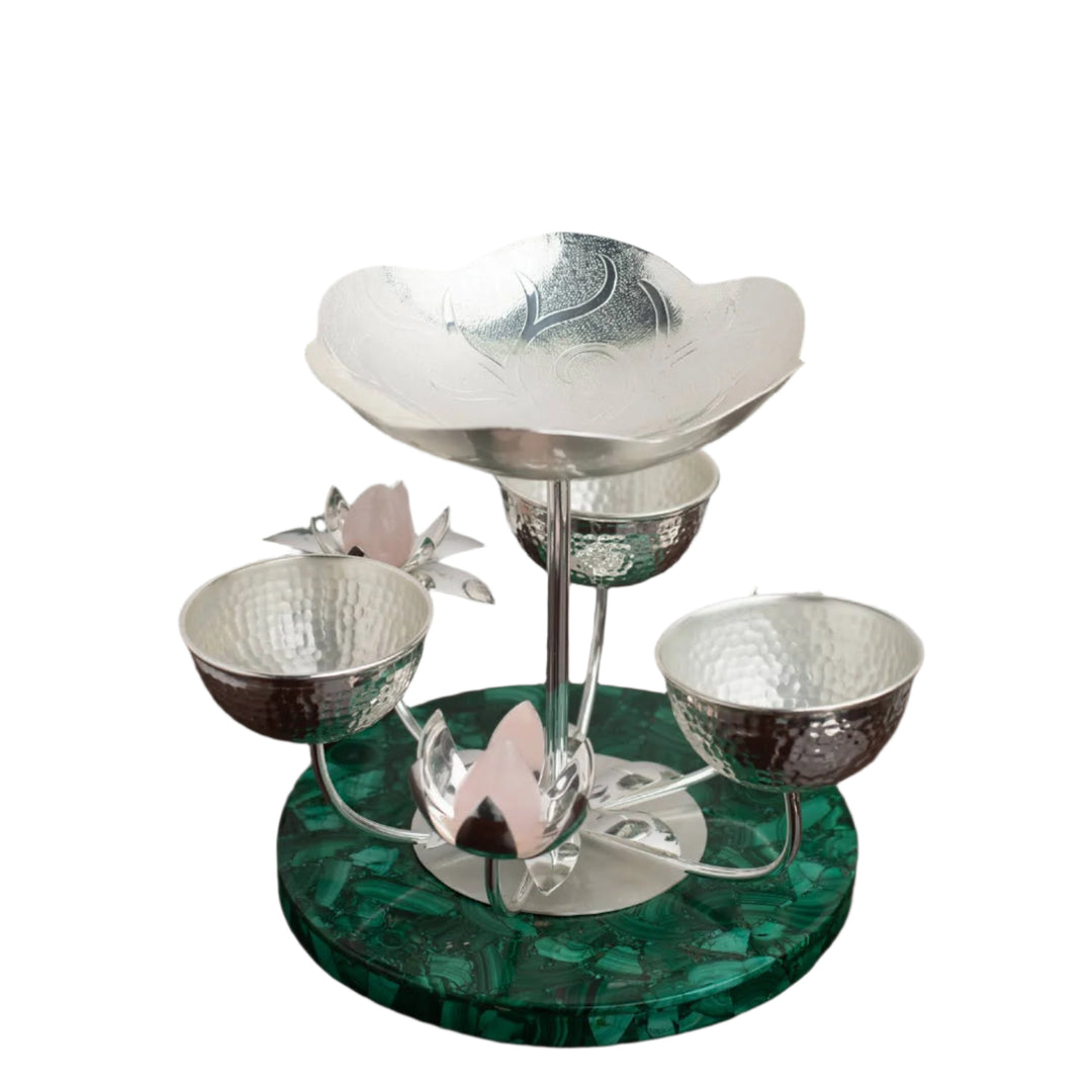 Lily In The Swamp