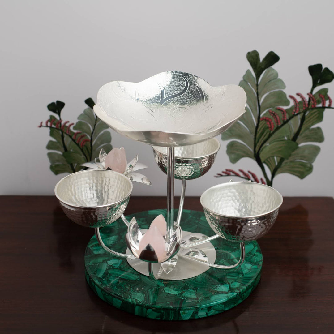 Lily In The Swamp