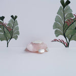 Load image into Gallery viewer, Feng shui Turtle❤️