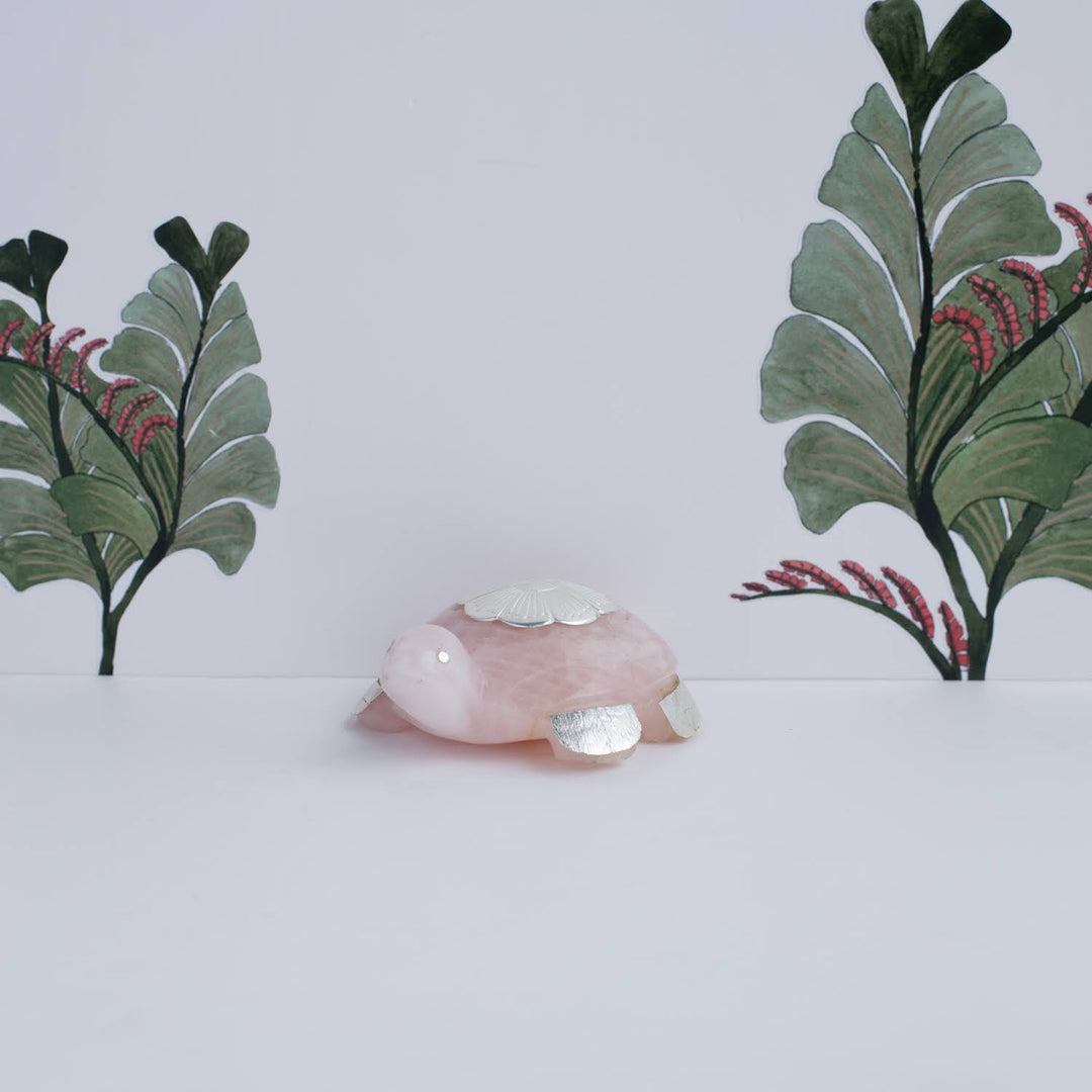 Feng shui Turtle❤️