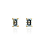 Load image into Gallery viewer, Chroma Stud Earrings