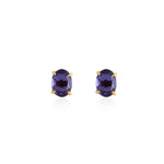 Load image into Gallery viewer, Stand out earrings
