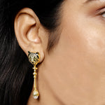 Load image into Gallery viewer, Fierce Lion