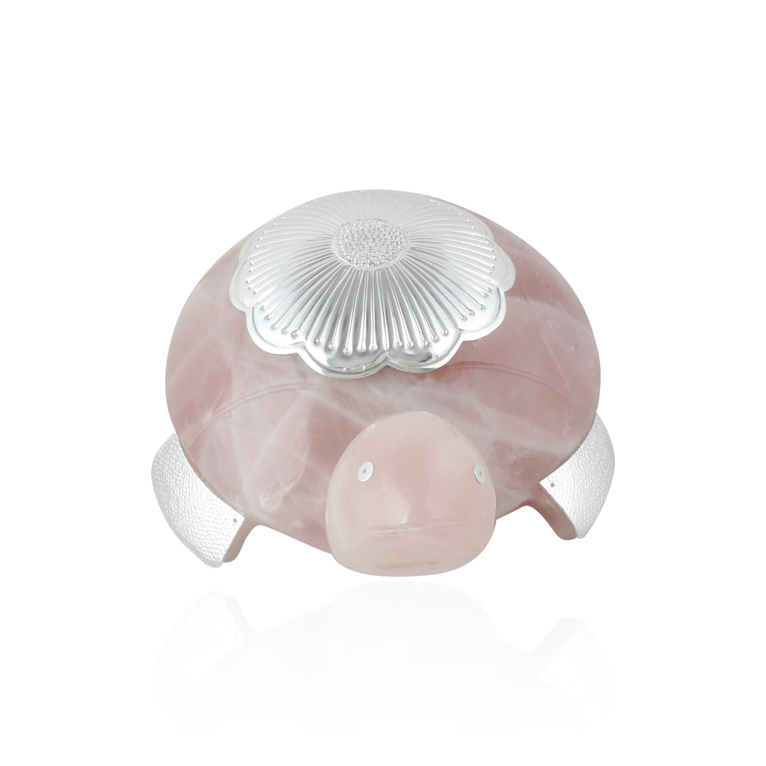 Feng shui Turtle❤️