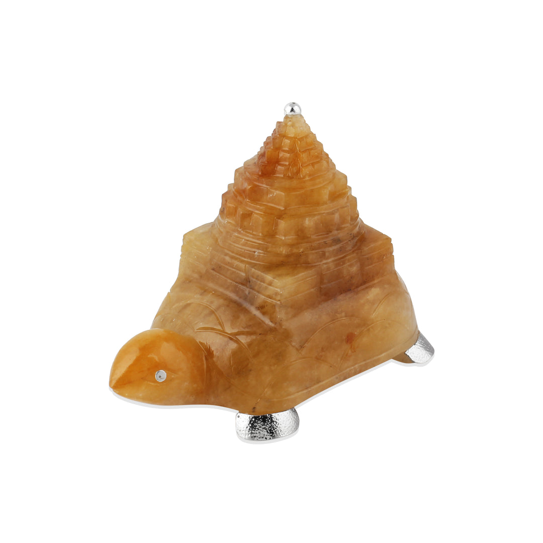 shreeyantra on turtle