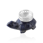 Load image into Gallery viewer, Turtle T-Lite Set