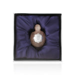 Load image into Gallery viewer, Feng shui Turtle❤️