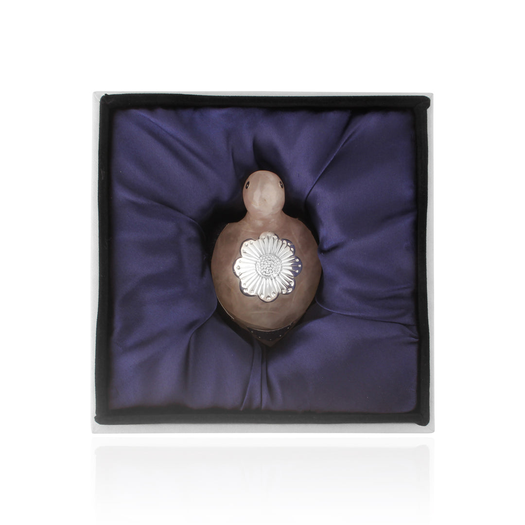 Feng shui Turtle❤️