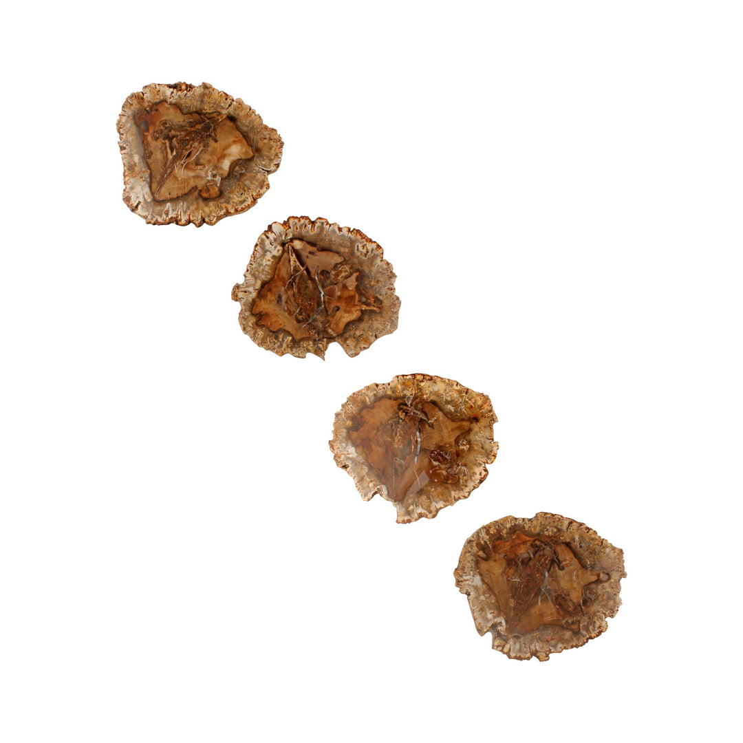 Petrified wood coasters