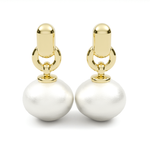 Load image into Gallery viewer, Snow Drops