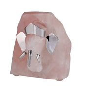 Abstract Lord Ganesha Face