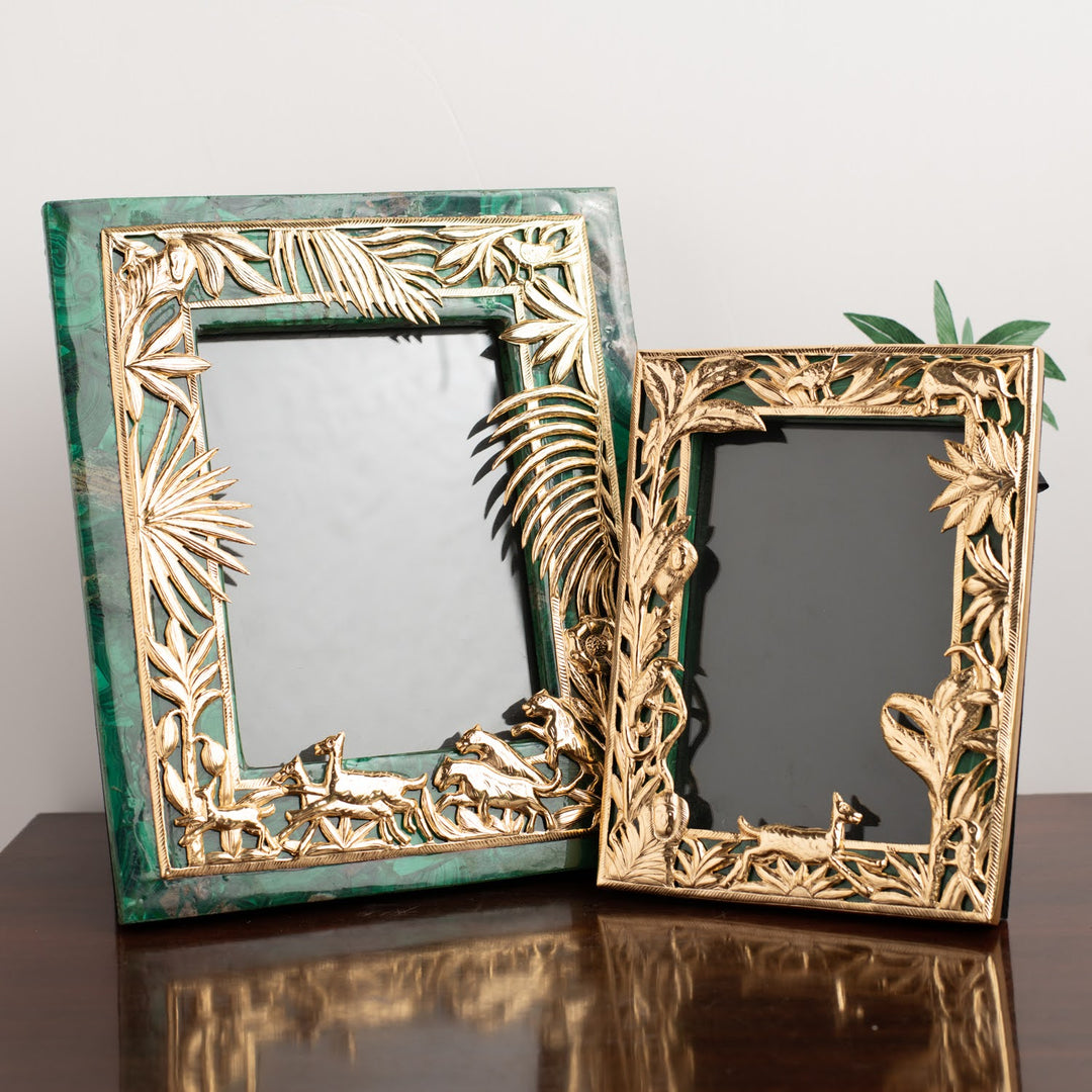 Sher Khan Frames 