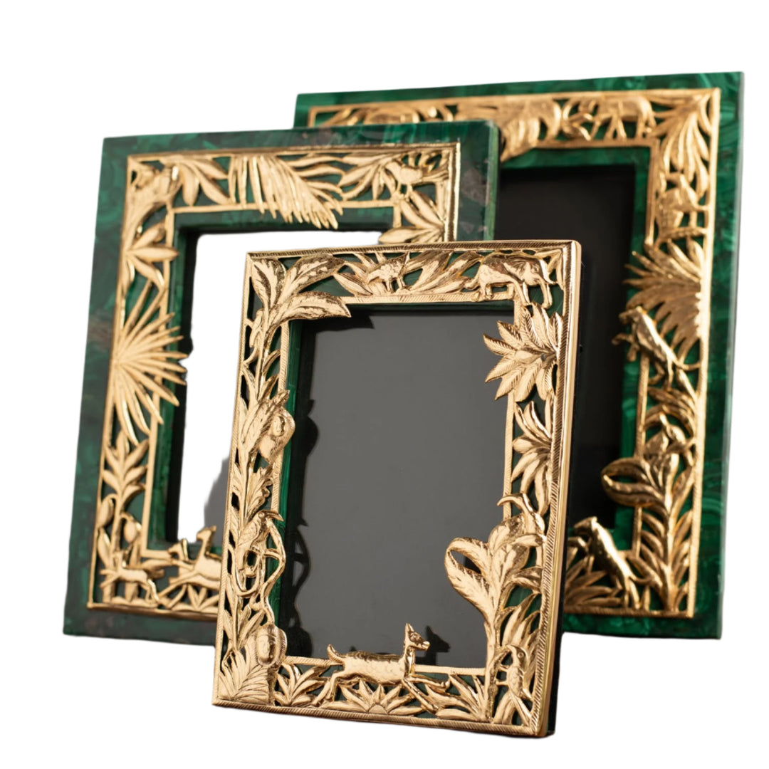 Sher Khan Frames 