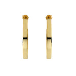 Load image into Gallery viewer, Gold Hoops
