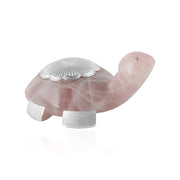 Feng shui Turtle❤️