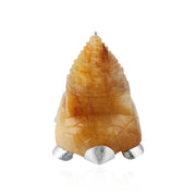 shreeyantra on turtle