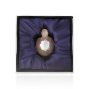 Feng shui Turtle❤️