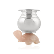 Turtle Kalash ❤️