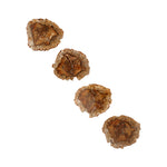 Load image into Gallery viewer, Petrified wood coasters
