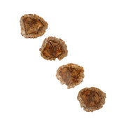 Petrified wood coasters