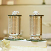 The Maharaja Glass covers